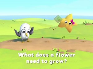 It's the flower song! 💐🌷🌹 Let's join in with Twinkle and learn about growing these beautiful plants. #ChildrensMusic #LittleBabyBum | Little Baby Bum TV