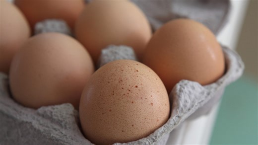 FDA Warns of Bacteria in Free Range Brown Eggs