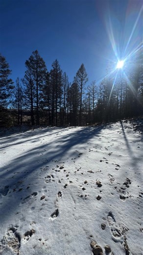 From a dream… to a reality!!! This project started as a blank (but TOUGH) lot and ended with a modular home being set. Set day gets the attention, but it only works when the groundwork and planning are done right. Huge credit to Above Treeline Construction for the site coordination, foundation work, and all the behind-the-scenes details that made this possible. If building a home like this is part of your vision, **comment DREAM** and we’re happy to help you understand what comes first. | Rocky 