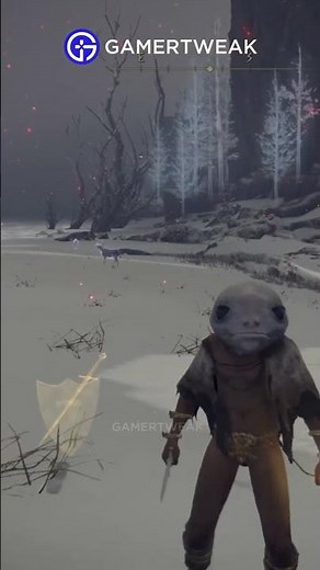 How to Drop and pick up items in Elden Ring
