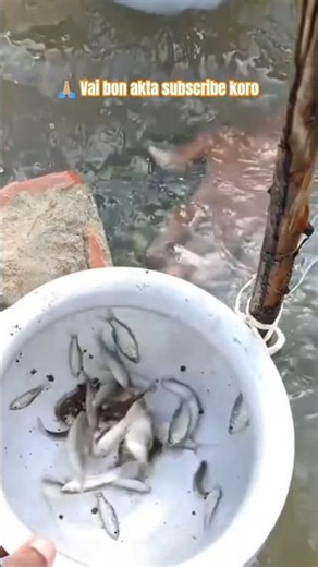 😯😯Amazing River Diving Fishing Adventure #shorts