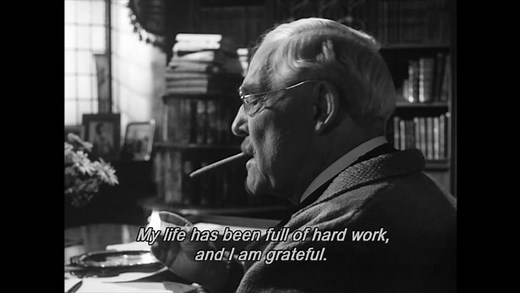 Wild Strawberries