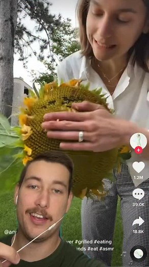 43K views · 345 reactions | Why she speaking in sims? | Nick Smithyman | Facebook