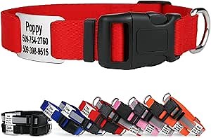 GoTags Personalized Dog Collar with Nameplate, Adjustable Dog Collar with Custom Engraved Steel Slide On Pet ID Tag, Silent, No Noise Dog Tag 66 Color Options (Classic, Medium)