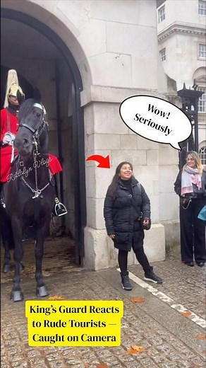 Tourists Disrespect the King’s Guard at Horse Guards Parade| Real Reaction Caught on Camera