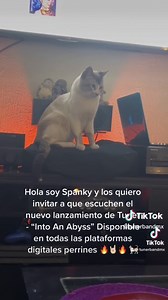 Ya esta disponible nuestro mas reciente material, el Remake de nuestro primer disco “Into An Abyss” corran a escucharlo a todas mas plataformas digitales. 🤘🏻🔥 y aprovechamos para informales que fuimos seleccionados para estar en la Wacken Metal Battle México de este año, muy pronto todos los detalles y fechas. . . . . . . . . . . #tuner #tunerband #intoanabyss #yeah #show #new #music #metal #gato #cat #gatito #catmeme #metalcat #tunercat #spanky #music #rock #prog #amazing #awesome #forlife #