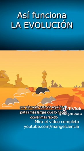 ¿Cómo funciona la Teoría de la evolución de Charles Darwin?