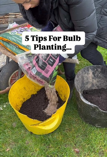 5 Essential Tips for Successful Bulb Planting