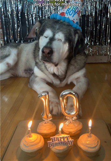 My 10th Birthday Celebration! Come Celebrate With Me 💛🥳