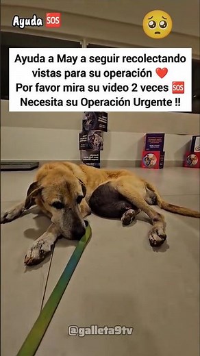 Ayudemos a May 😭😭