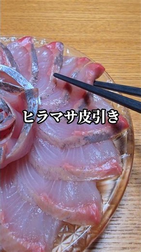 ​【魚の捌き方】ブリより簡単！？ヒラマサの失敗しない皮引きのコツとお刺身 #ヒラマサ #青物 #捌き方