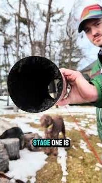 Creosote 101: What It Is & How to Clean Your Fireplace Pipes