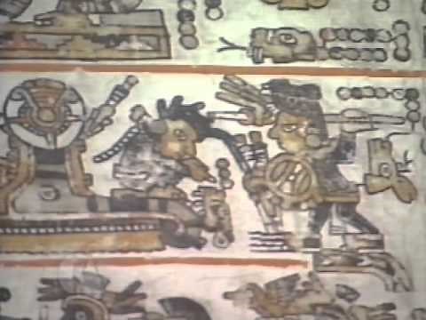La vida del señor 8 Venado-Garra de Jaguar