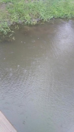 2.4K views · 20 reactions | Leviticus 26:4 Then I will give you rain in due season, and the land shall yield her increase, and the trees of the field shall yield their fruit. | Winstead Bait Shop | Facebook