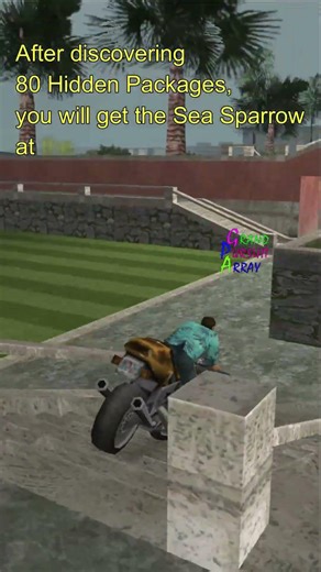 After 80 Hidden Packages, Reward #gtavicecity #vicecity #grandtheftauto