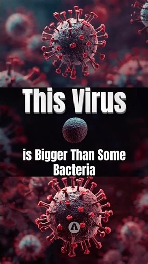 The Virus Visible with a Microscope