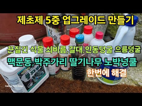 5-Way Upgraded Herbicide for Stubborn Weeds and Vines: How to Make a Powerful Herbicide to Elimin...
