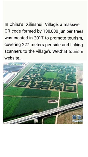 This aerial image shows a giant, scannable QR code made from trees in Xilinshui Village, China.