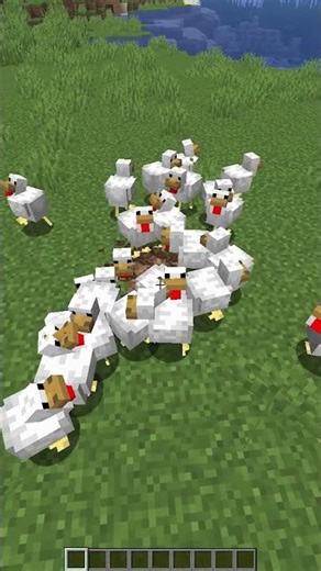 Crazy chicken trick in Minecraft!!! #minecraft #shorts