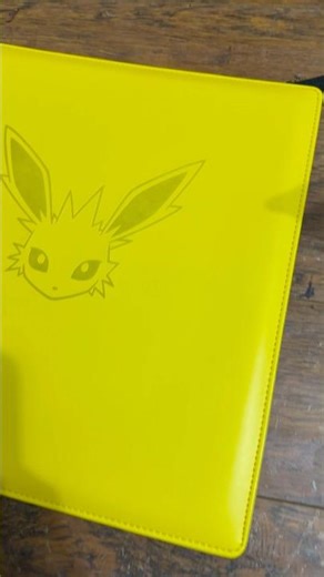 Got a New Pokémon Binder #pokemon #pokemontcg #eevee #jolteon #eeveelutionsquad #pokemoncards #open