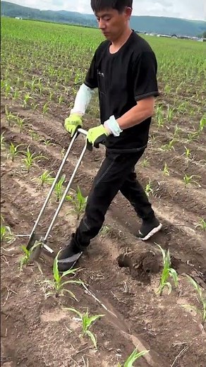 The Ultimate Back-Saving Weeding Tool! ❌🦵🌱