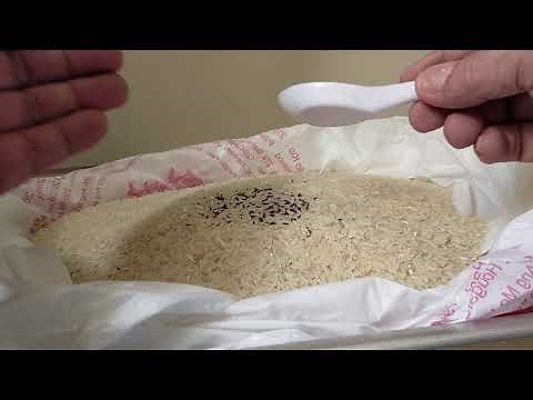 Removing Rice Weevils