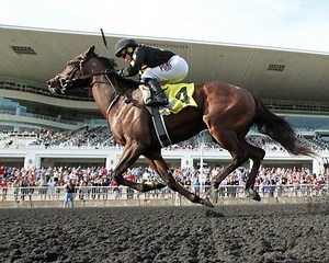 Longshots Steal Juvenile Stakes at Arlington