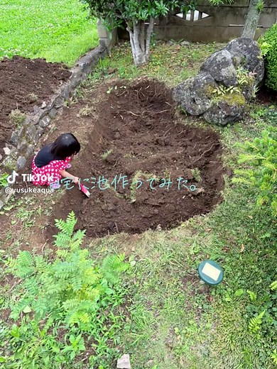 自宅の池作り: メダカと金魚のためのDIY
