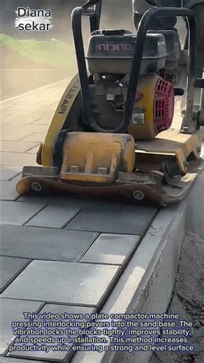 Plate Compactor Finishing Paver Blocks | Fast & Solid Installation Process