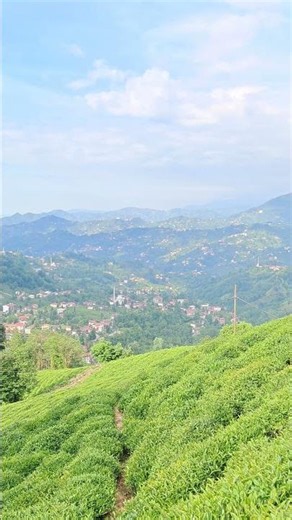 Rize Merkez Ayane Köyü Doğa Manzaraları