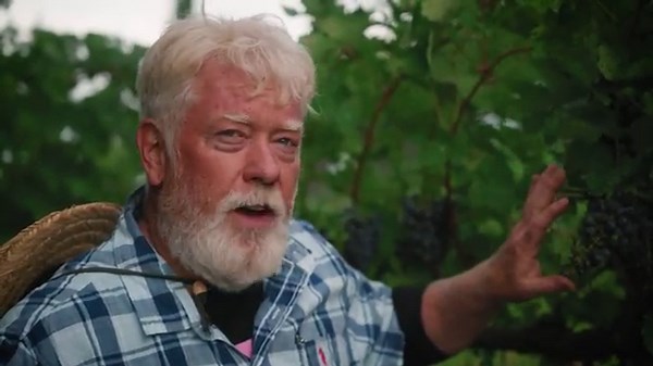 Cultivating Wine Grapes on a 2-Acre Estate Vineyard | PARAGRAPHIC