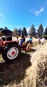 LA MOISSON A L'ANCIENNE... Tout comme avant, ici à proximité du village de Matour (Saône-et-Loire-Bourgogne du Sud-France). Cela vous rappelle t'il des souvenirs ? Un très grand merci à Huguette Terrier pour cette vidéo. #moisson #souvenirs #autrefois | La Place du Village