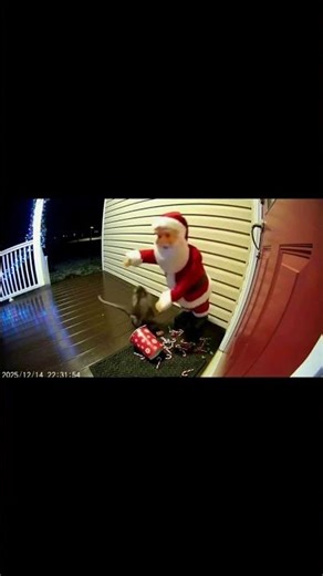 lo atrapé 🐒 #funny #monkey