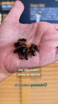 Le monde fascinant des abeilles