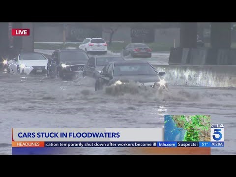 Rainwater floods 710 Freeway as determined motorists forge on