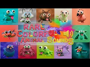 🌈 Rare Colorful Animal Sounds! 🎨🦎🐤 | Zoo Animal Unusual Colors + Sounds! | Chirp, Hiss, Flutter! 🐾✨