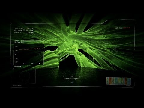 The Hybrid | Alien Encounters