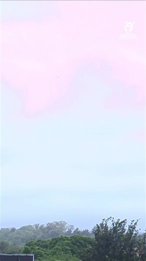 Tom Jones unleashes a monster hit 🚀 #U19WorldCup broadcast details 👉 https://www.icc-cricket.com/tournaments/u19-cricket-worldcup-2026/news/broadcast-details-for-icc-u19-men-s-cricket-world-cup | ICC - International Cricket Council