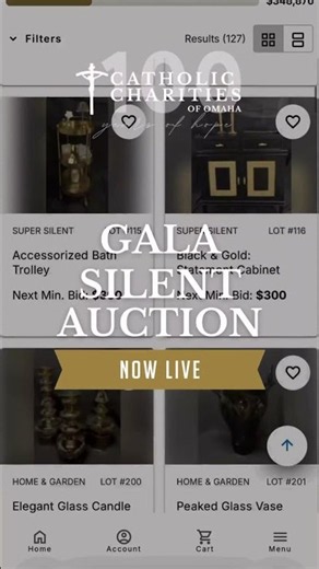 Catholic Charities Century of Hope Gala Silent Auction Live!