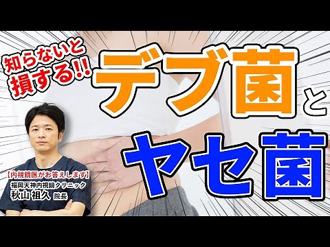 A must-see for people on a diet! What is the relationship between fat bacteria and slimming bacte...