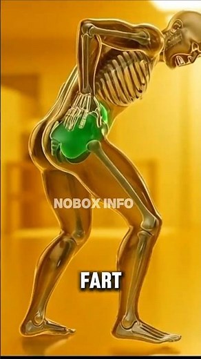 Never Hold a Fart…What REALLY Happens inside your body 😳 #facts