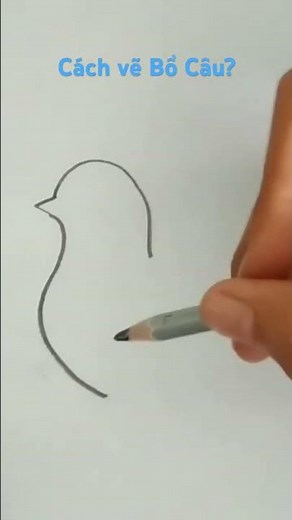 Cách vẽ Chim Bồ Câu | How to draw a Dove #shorts