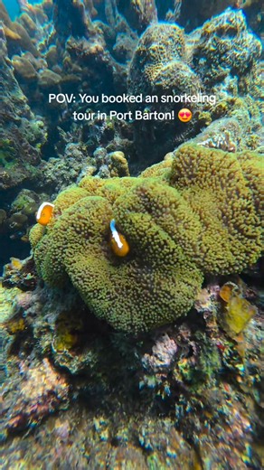 ✨𝗗𝗶𝘀𝗰𝗼𝘃𝗲𝗿 𝘁𝗵𝗲 𝗵𝗶𝗱𝗱𝗲𝗻 𝗴𝗲𝗺𝘀 𝗼𝗳 𝗣𝗼𝗿𝘁 𝗕𝗮𝗿𝘁𝗼𝗻! ✨ 🌊 Island Hopping Tour A – Swim with turtles, explore colorful reefs, and relax on stunning sandbars and islands 🏝️. 📍𝑷𝒆𝒓𝒇𝒆𝒄𝒕 𝒎𝒊𝒙 𝒐𝒇 𝒊𝒔𝒍𝒂𝒏𝒅 𝒊𝒏𝒍𝒂𝒏𝒅 𝒂𝒅𝒗𝒆𝒏𝒕𝒖𝒓𝒆 𝒊𝒏 𝒐𝒏𝒆 𝒑𝒂𝒓𝒂𝒅𝒊𝒔𝒆 𝒅𝒆𝒔𝒕𝒊𝒏𝒂𝒕𝒊𝒐𝒏!🗯️ 👉 Message us today and secure your Port Barton getaway! 📩For bookings pm our facebook page Miya's Travel And Tours🐳🩵 Call/text: 639666371844 Why book with us? ✨ Hassle-fre