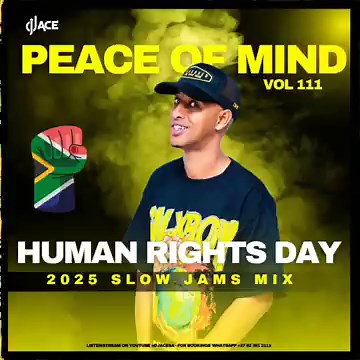 SLOW JAM MIX 2025 | HUMAN RIGHTS DAY | PEACE OF MIND VOL 111 | DJ Ace ♠️