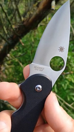 spyderco domino огляд short review #edc #blade