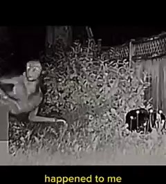 896K views · 4.4K reactions | Alleged camera footage of the Alien from the Las Vegas UFO crash  #crazy #LasVegas #UFO | NOK | Facebook