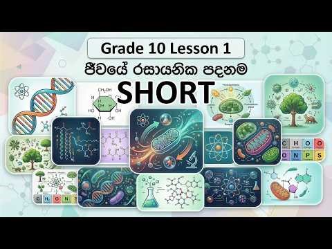 Grade 10 Science Lesson 1 Short