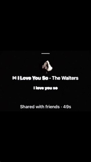 I Love You So — The Walters (Lyrics & Meaning)
