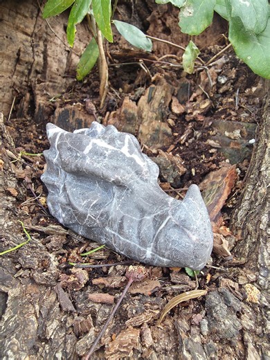 Gray Zebra Jasper Dragon Head Skull Carving - Etsy