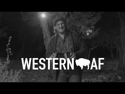 Willi Carlisle | Beeswing | Western AF